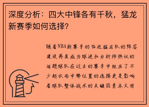 深度分析：四大中锋各有千秋，猛龙新赛季如何选择？