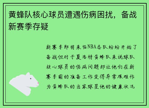 黄蜂队核心球员遭遇伤病困扰，备战新赛季存疑