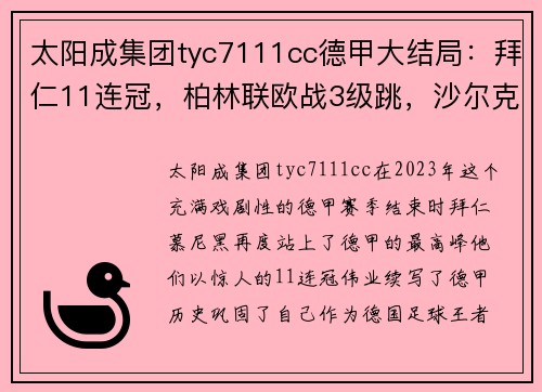 太阳成集团tyc7111cc德甲大结局：拜仁11连冠，柏林联欧战3级跳，沙尔克降级，16球大戏