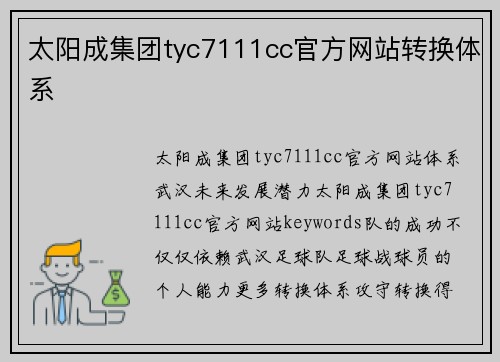 太阳成集团tyc7111cc官方网站转换体系
